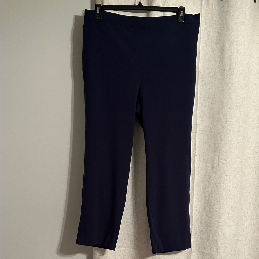 Banana Republic Women's Navy Pants